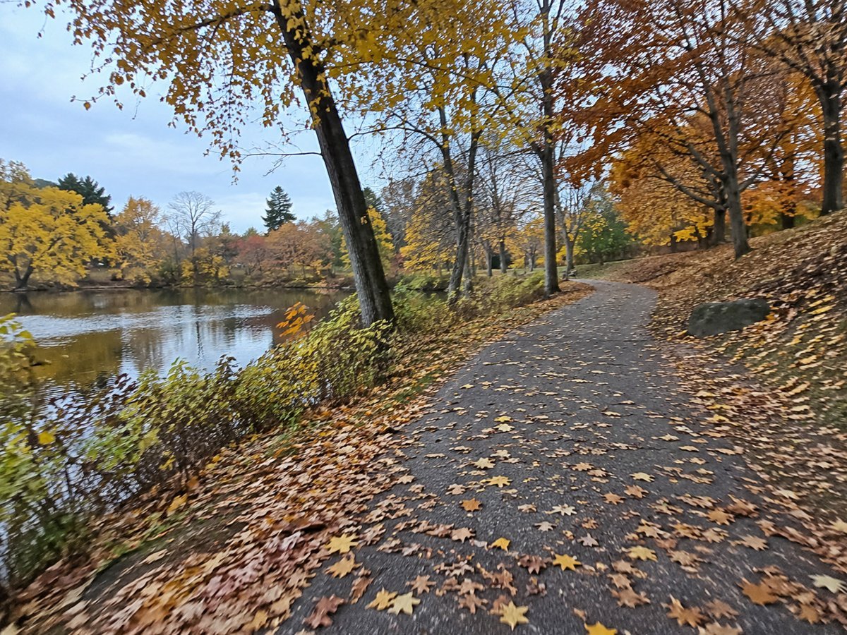 Paved park path covered with autumn leaves beside a river